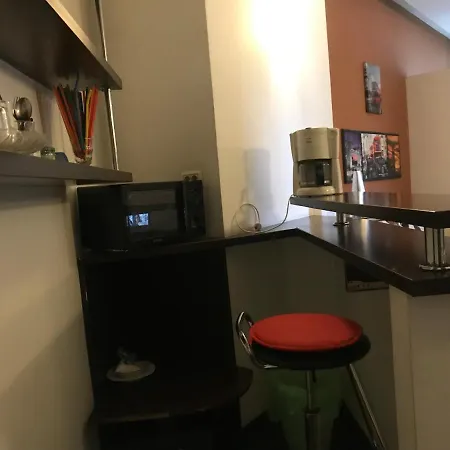 Apartment Sava Studio *